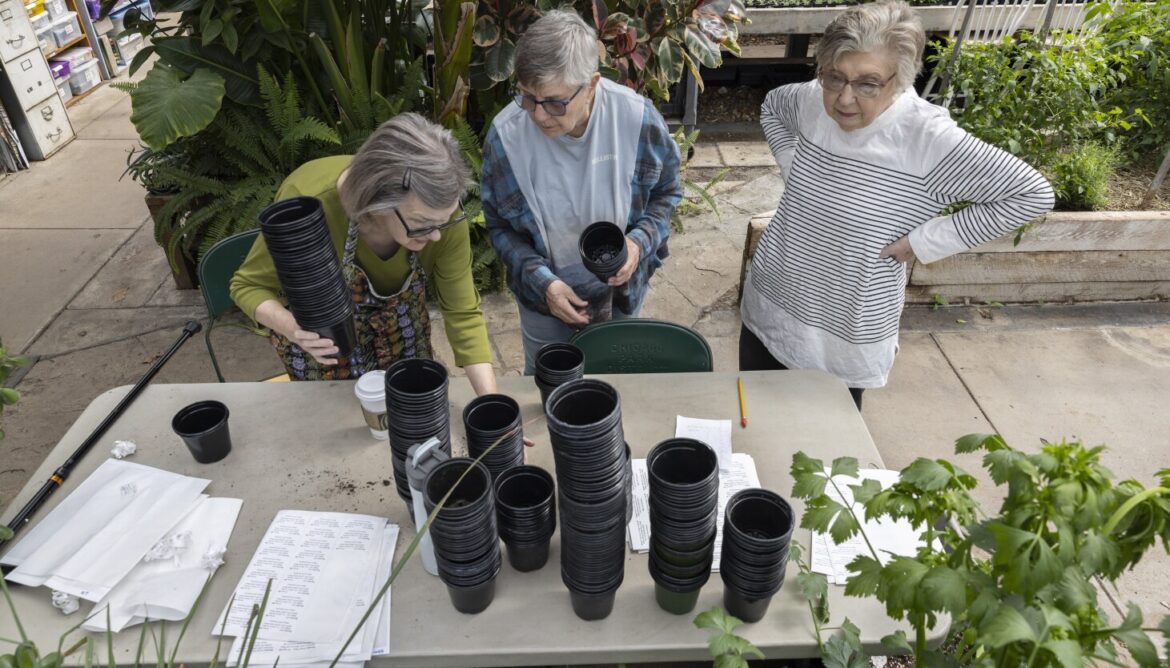Chicago gardeners shift toward native plants: The Rundown Chicago gardeners shift toward native plants: The Rundown