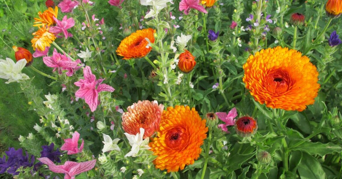 Spring Gardening & Floral Inspiration | GBH Spring Gardening & Floral Inspiration | GBH