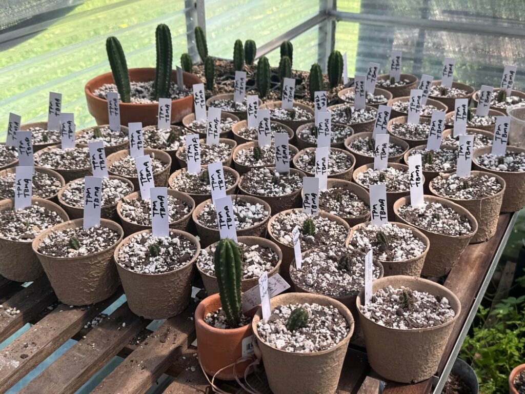 Any Austin TX growers in here?