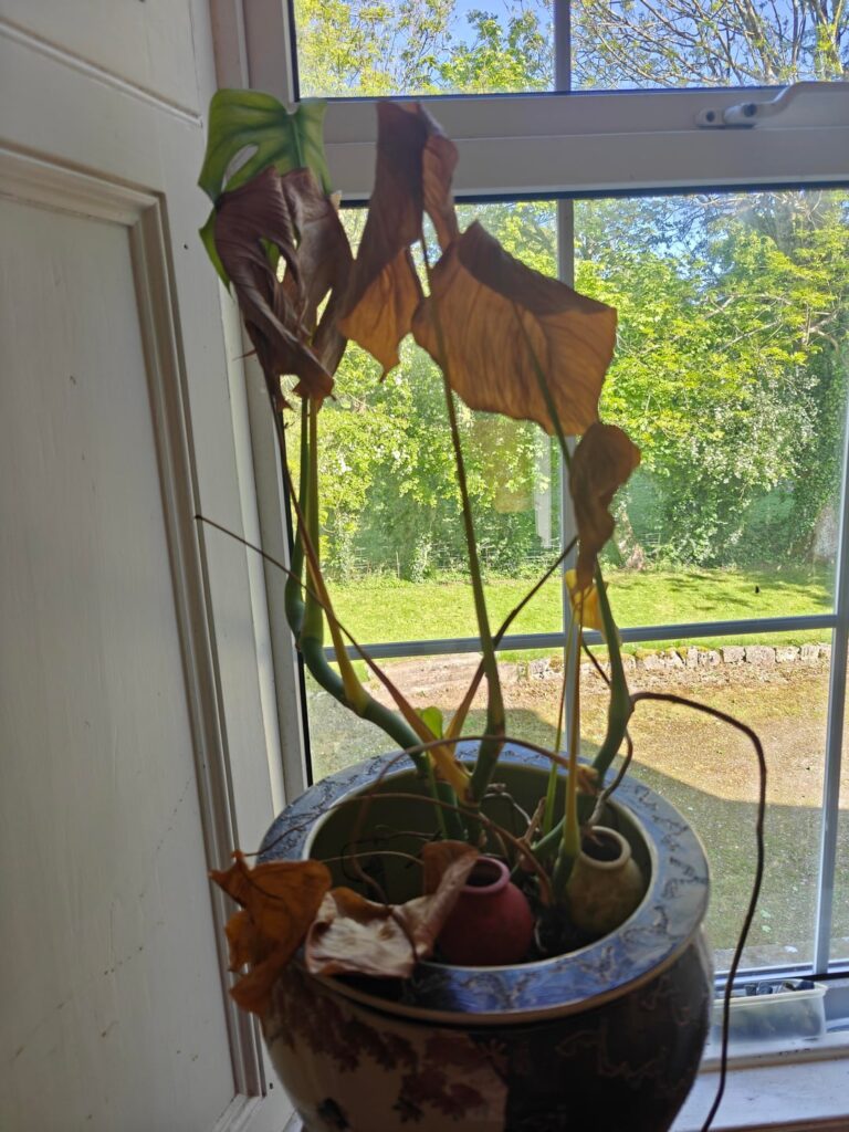 Please help