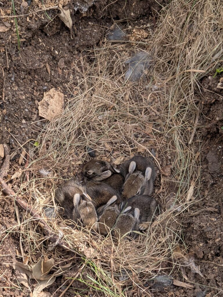 New occupants
