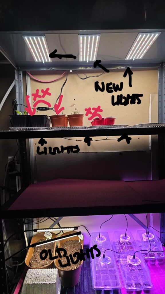 I think I nuked my garage plants?
