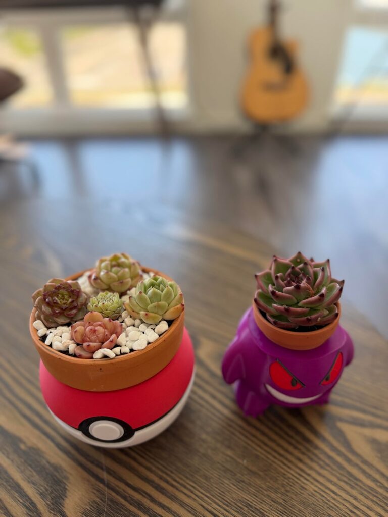 Pokemon