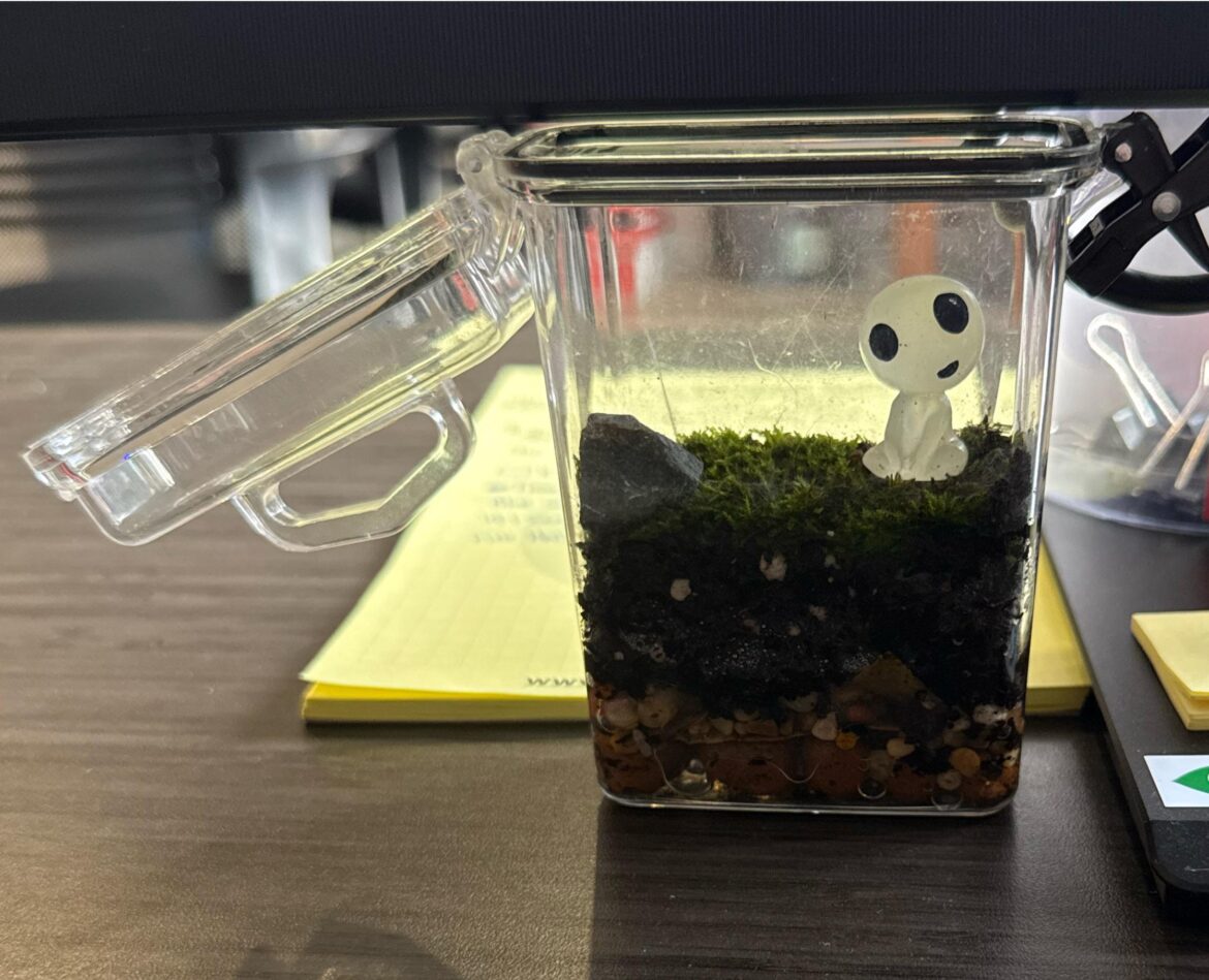 My work terrarium!