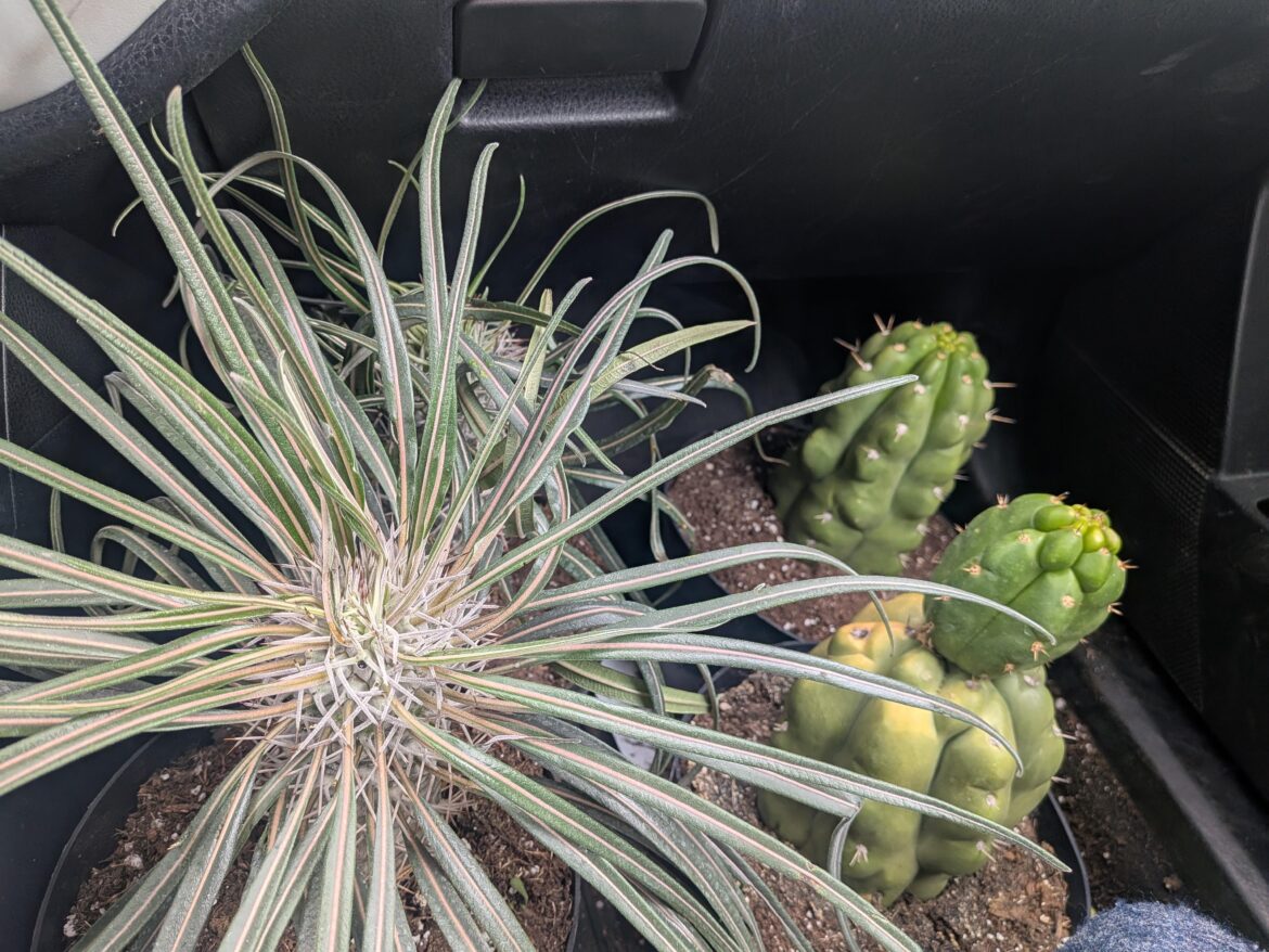 Home depot "throw away"