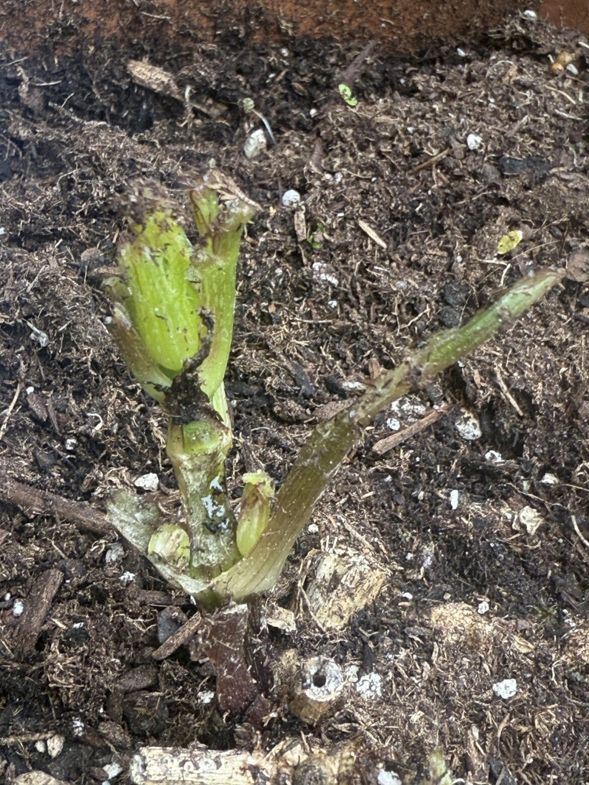 Can this be saved? Can this be saved?