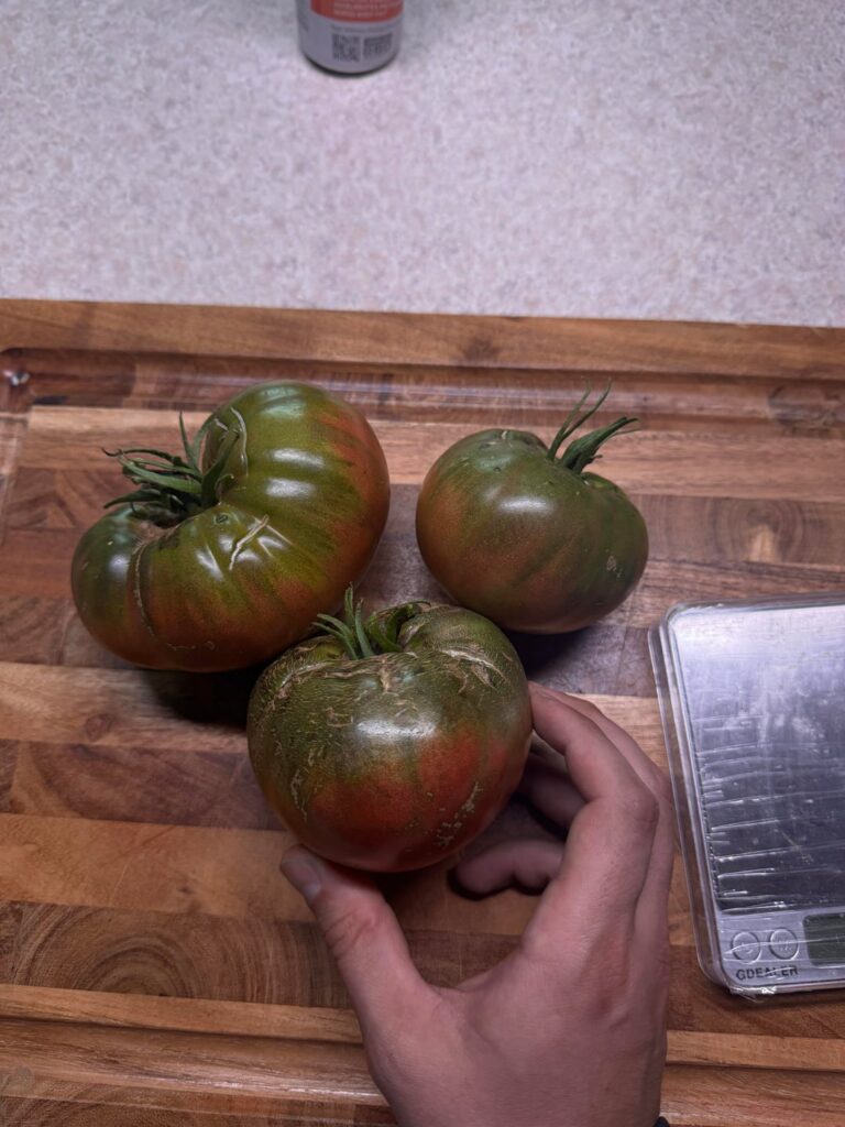 First tomato’s of the season down in Houston. Cherokee carbon is a real winner for me.