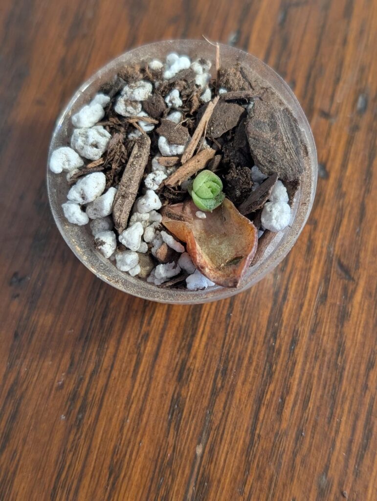 Help on ID