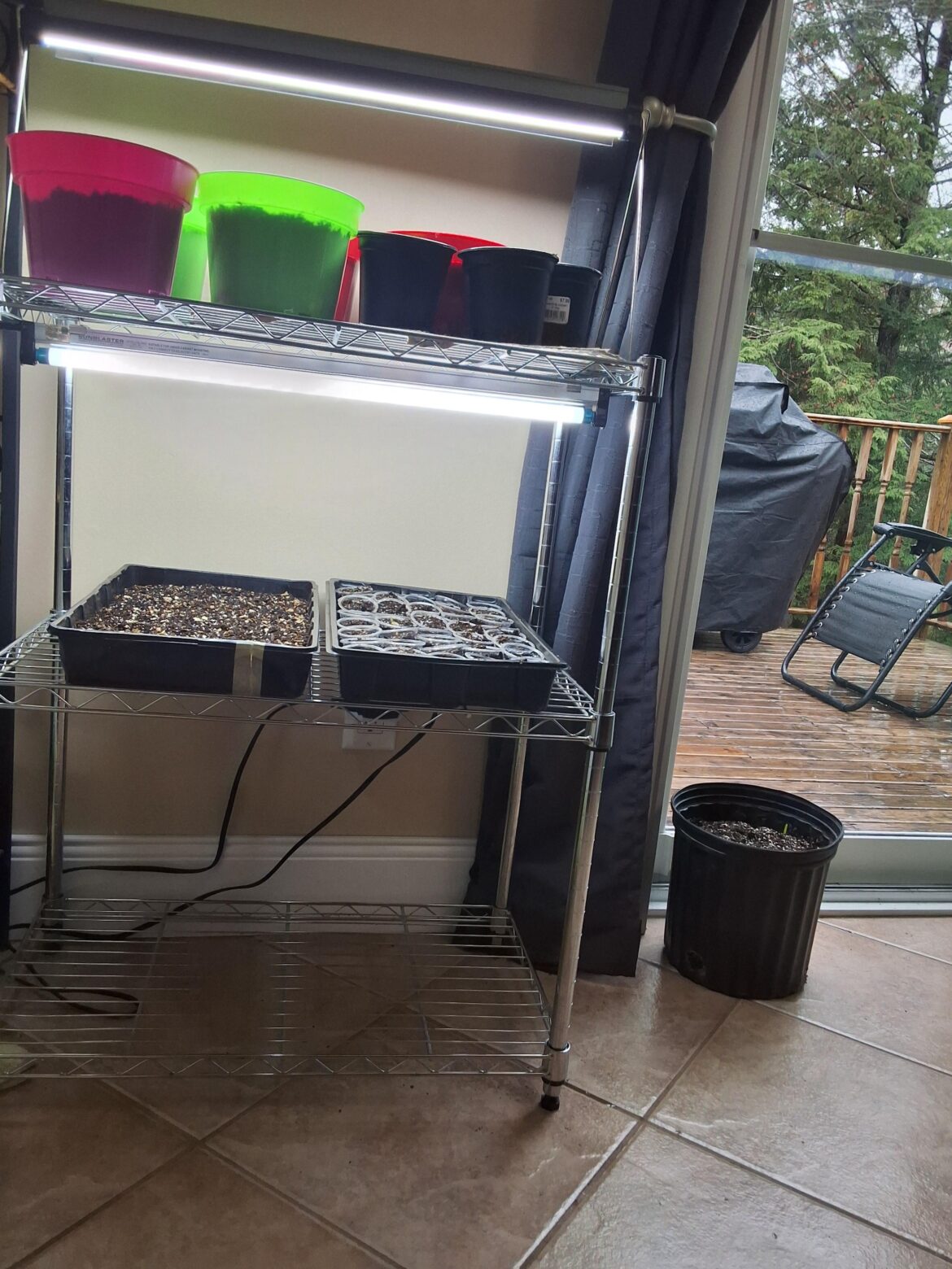 My DIY Plant Stand with Grow Lights 🤩