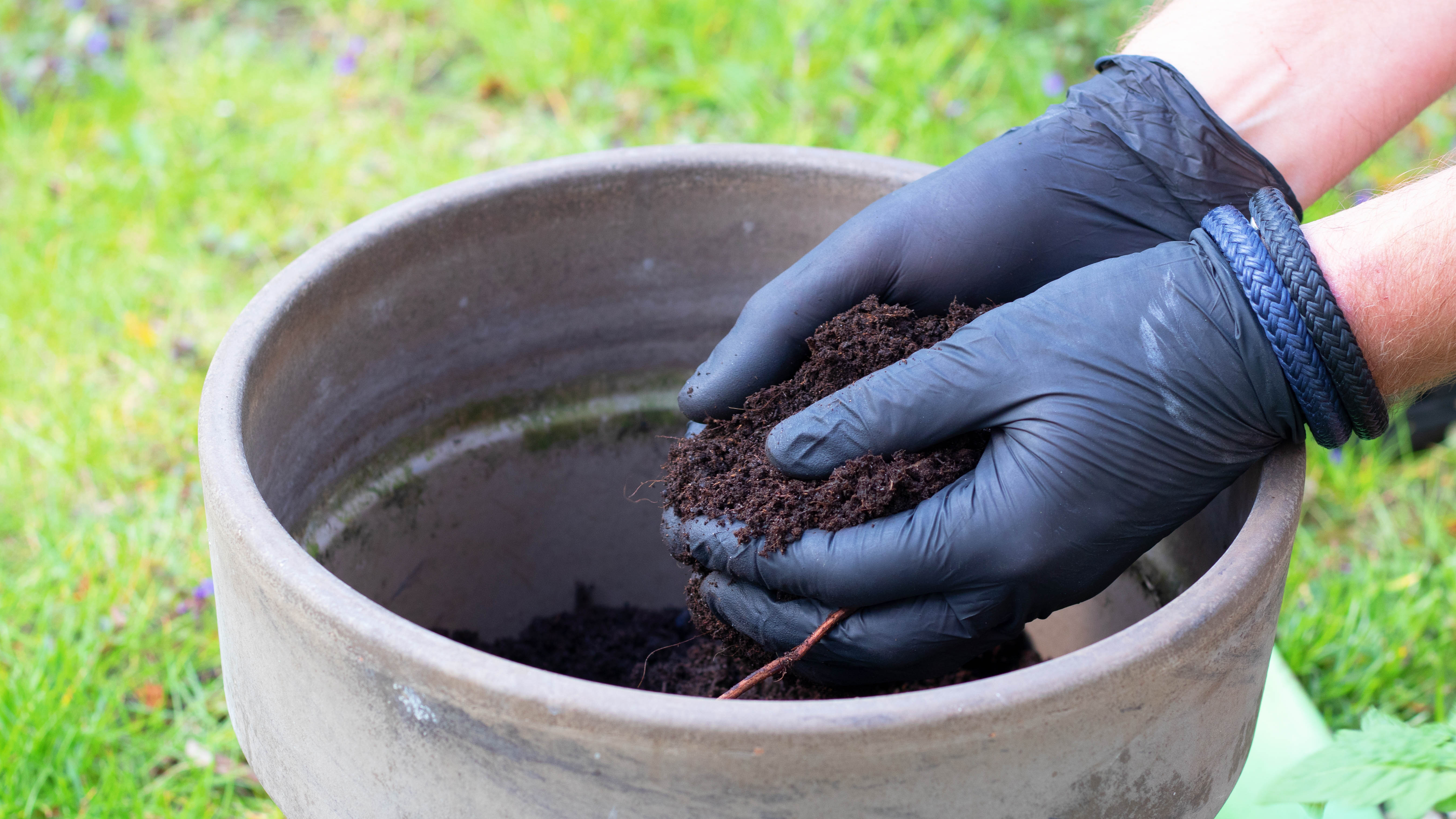 Filling pot with soil