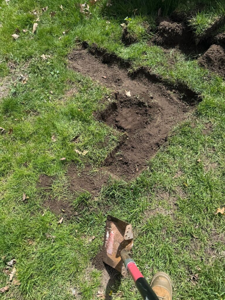 was feeling depressed the past month and broke the spell by impulsively starting a tiny garden :3