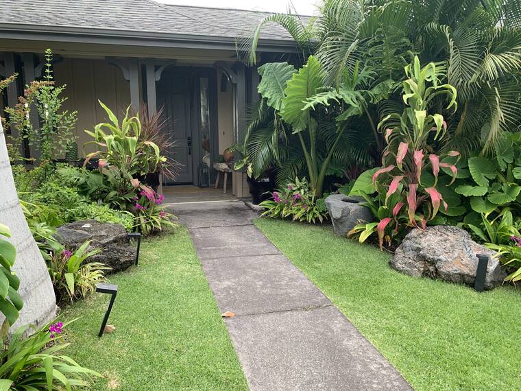 Tropical Gardening: Living gifts keep on giving Tropical Gardening: Living gifts keep on giving