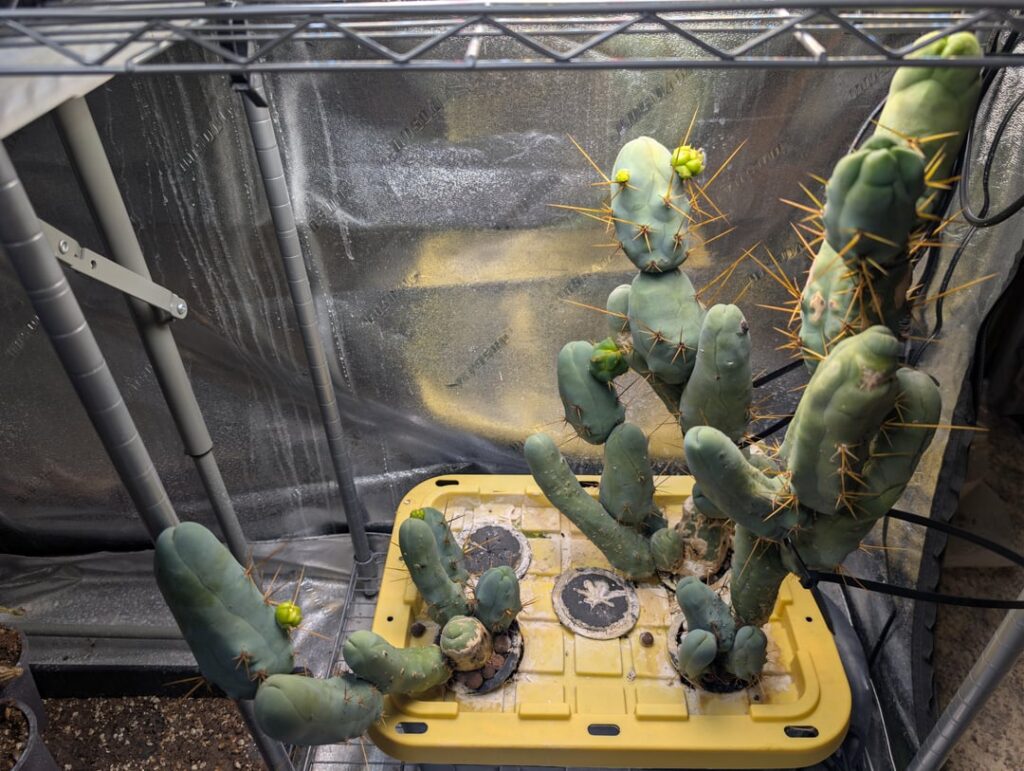 Final Hydroponic TBM-B Update Final Hydroponic TBM-B Update