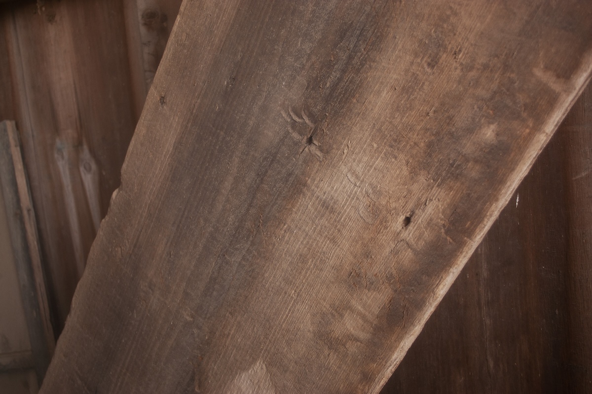 A large wood plank used for protecting small plants from wildlife in an early spring garden.