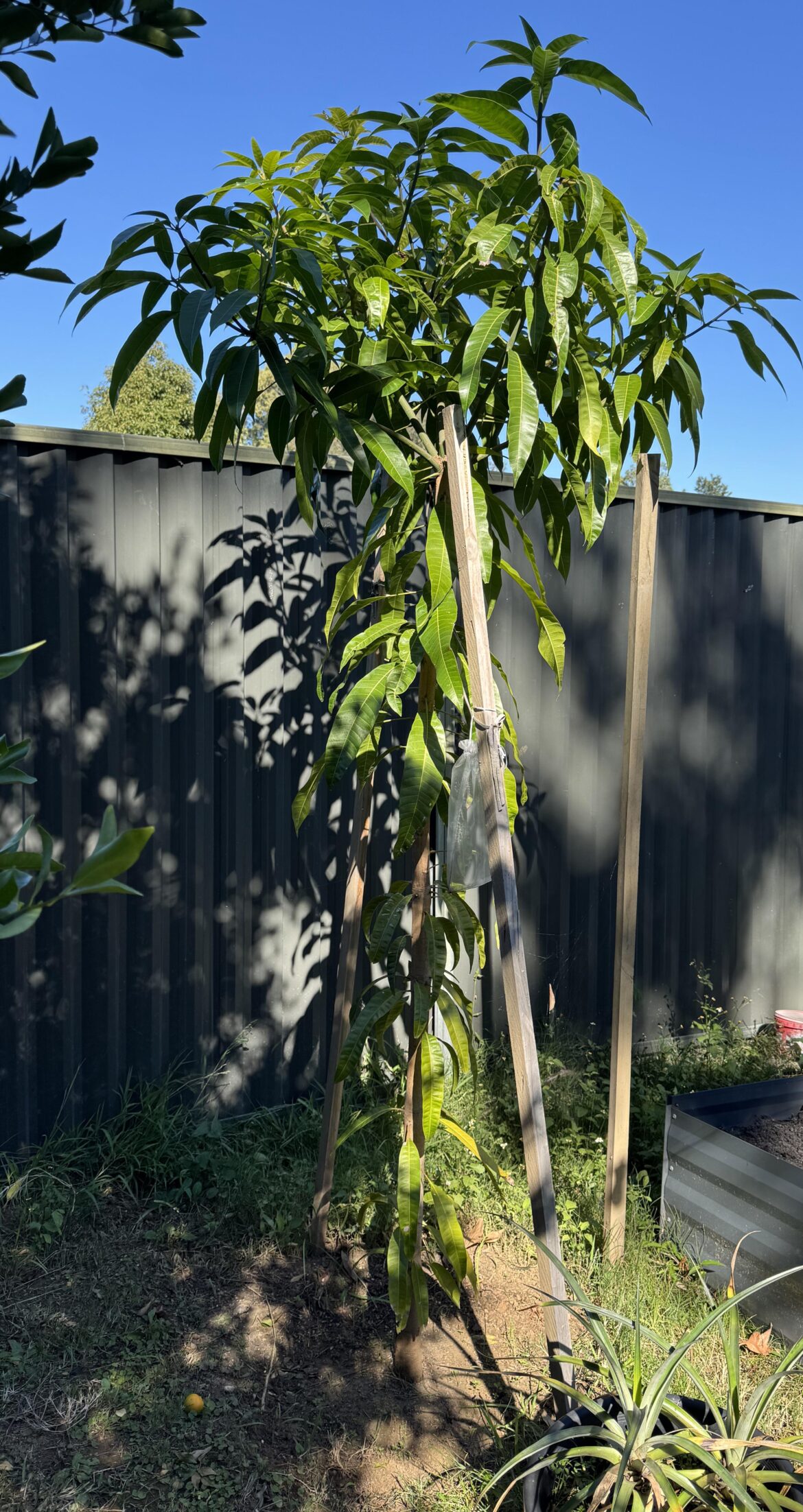 To move or not to move? (And when?)