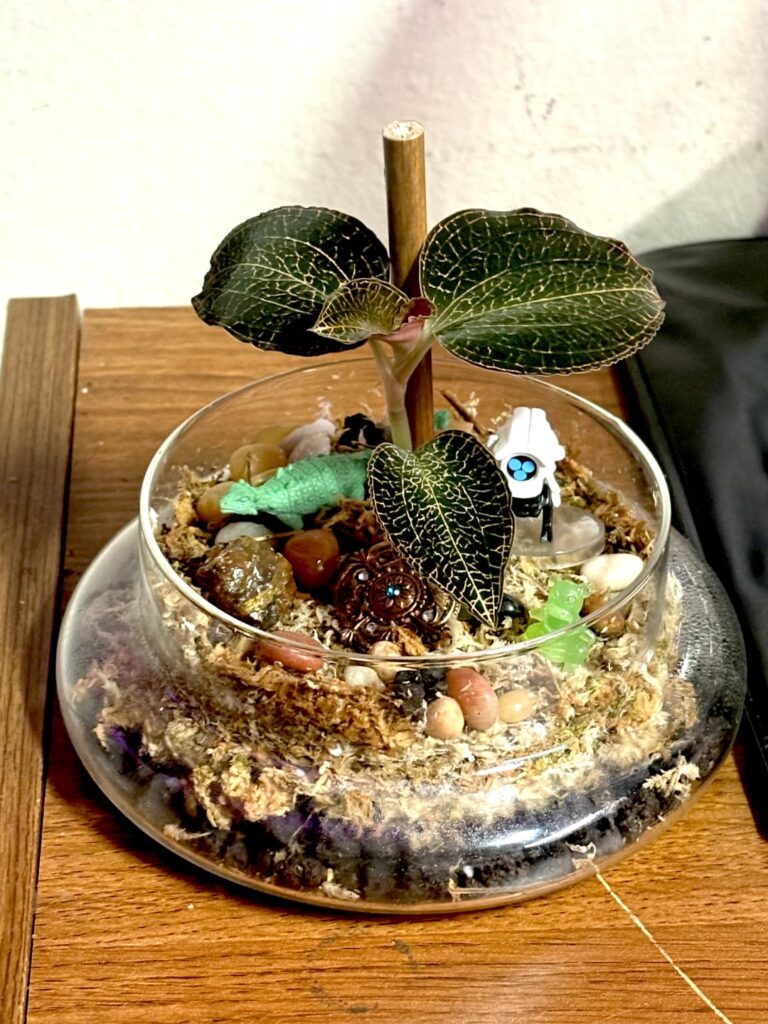My first Cloche