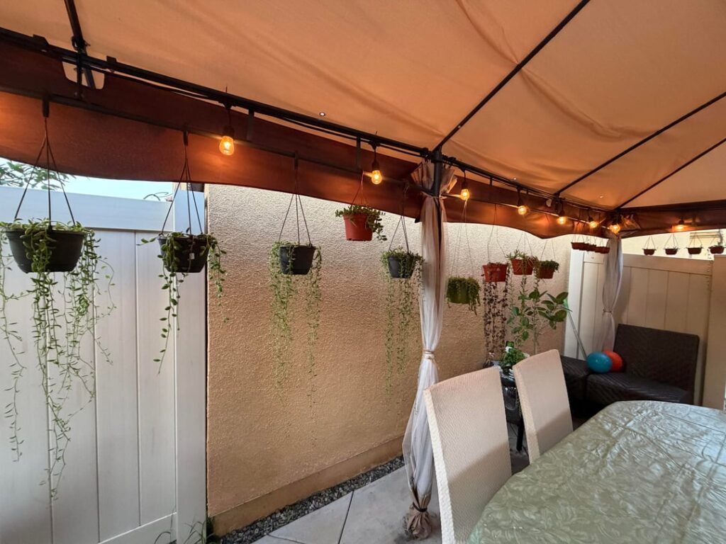 My string plants collection!