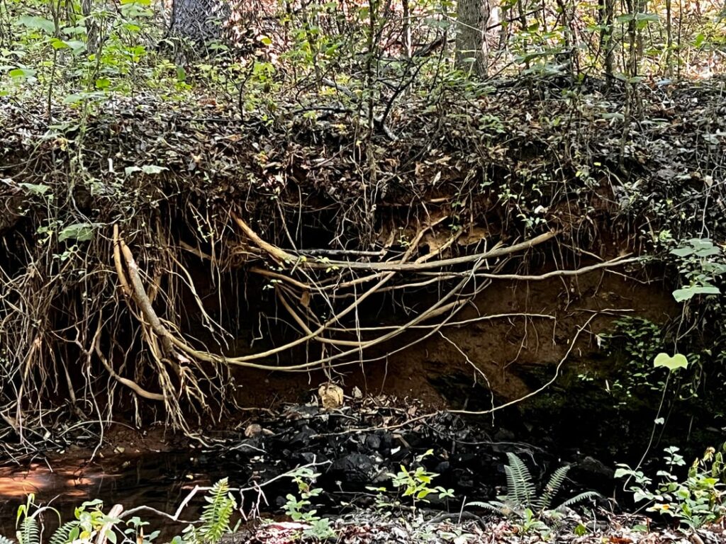 Creek stabilizing – NC Creek stabilizing - NC