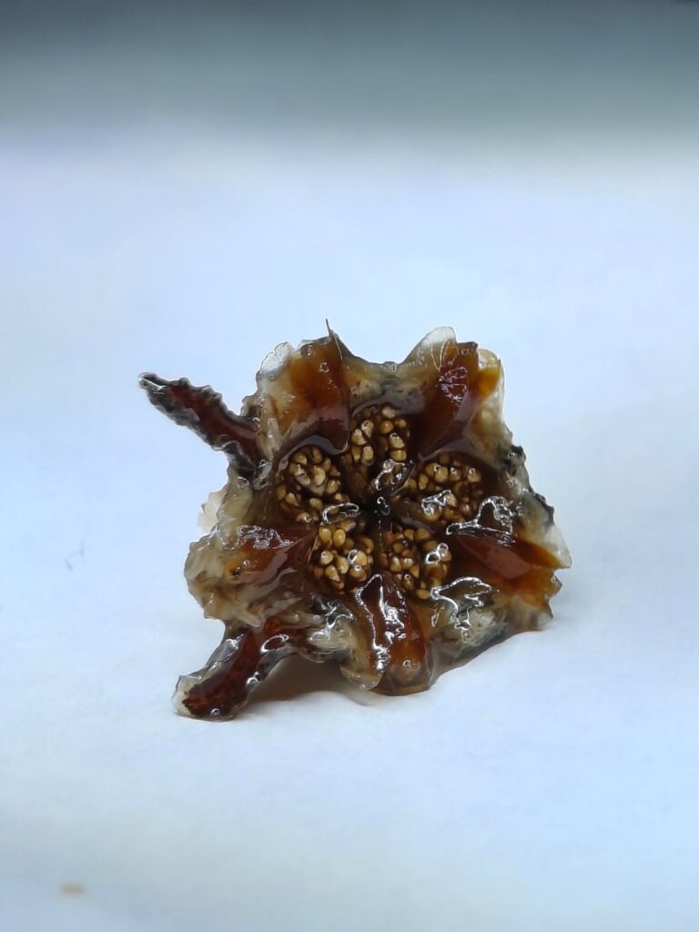 It sure helps having a microscope!