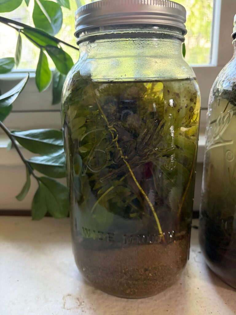 Ecospheres - Week 2