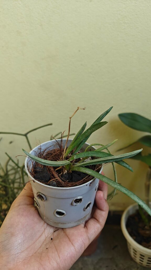 my second baby! my second baby!