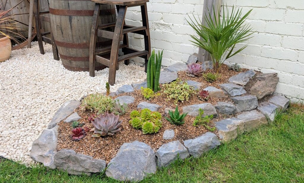 My first succulent garden My first succulent garden