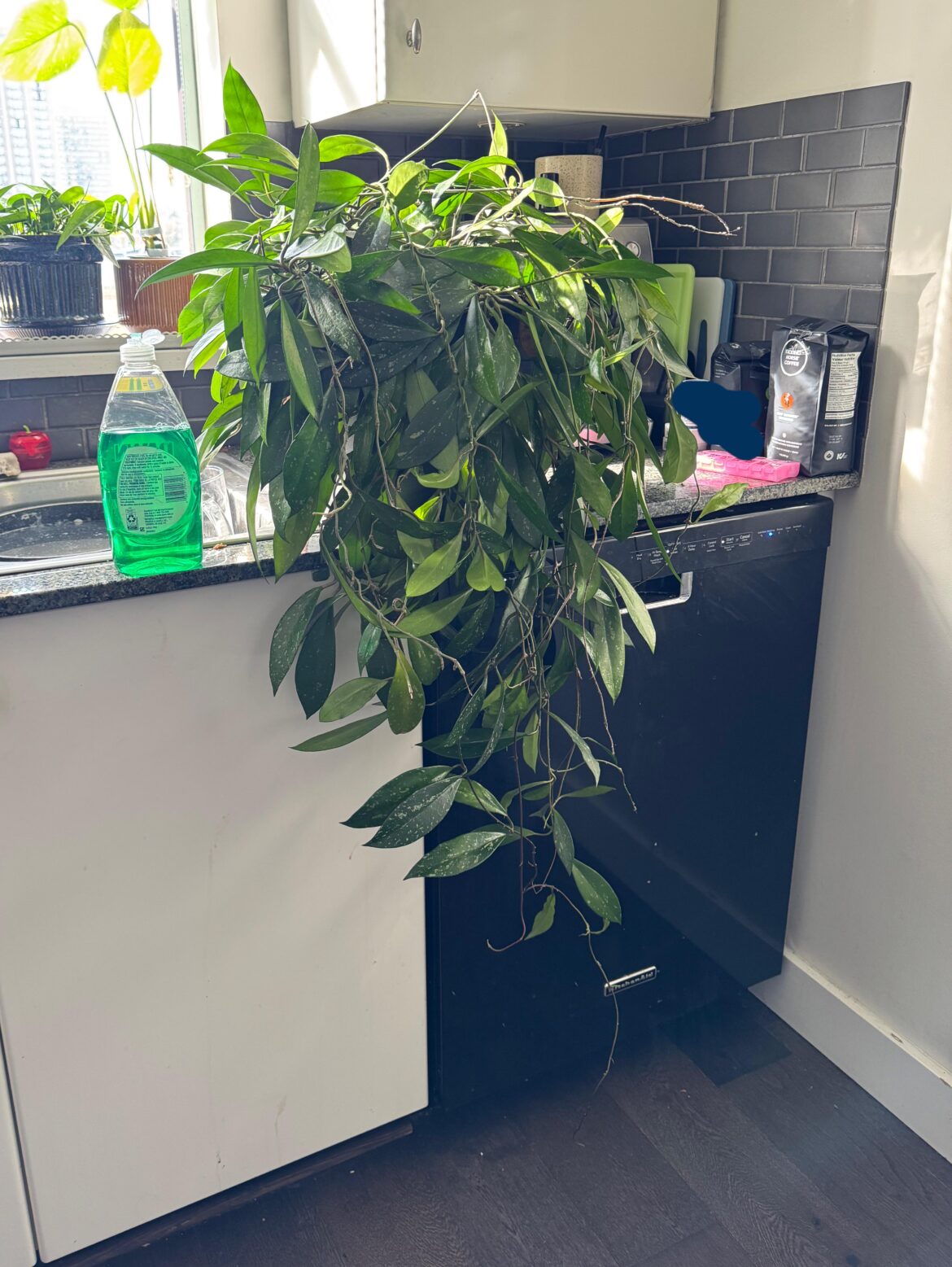 $30 marketplace find 🥹