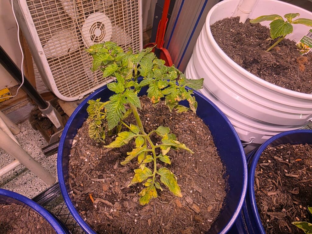 Off a poor start Off a poor start