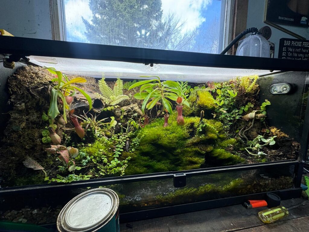 1 year update