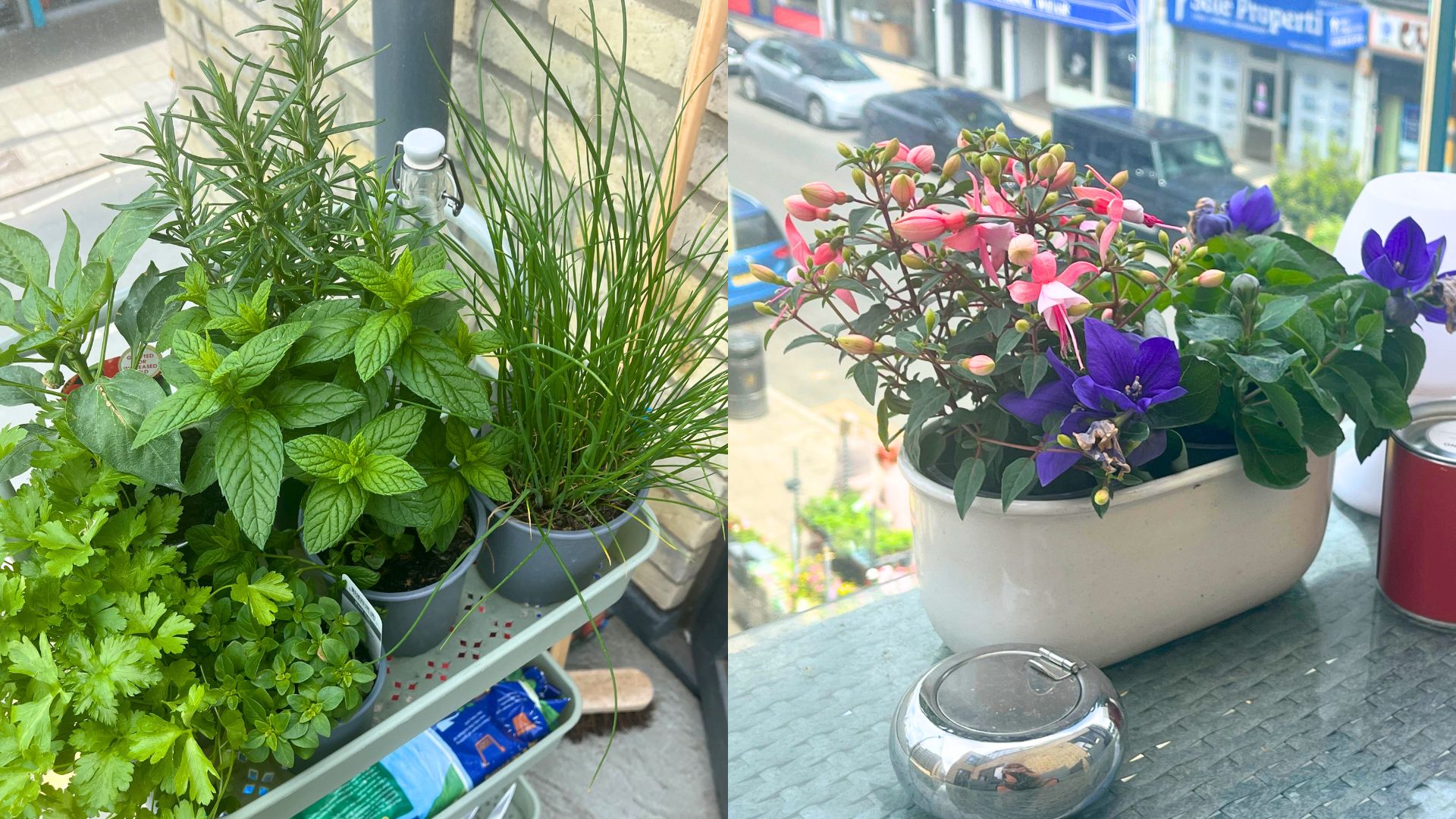 composite of herb garden and small pot of flowers