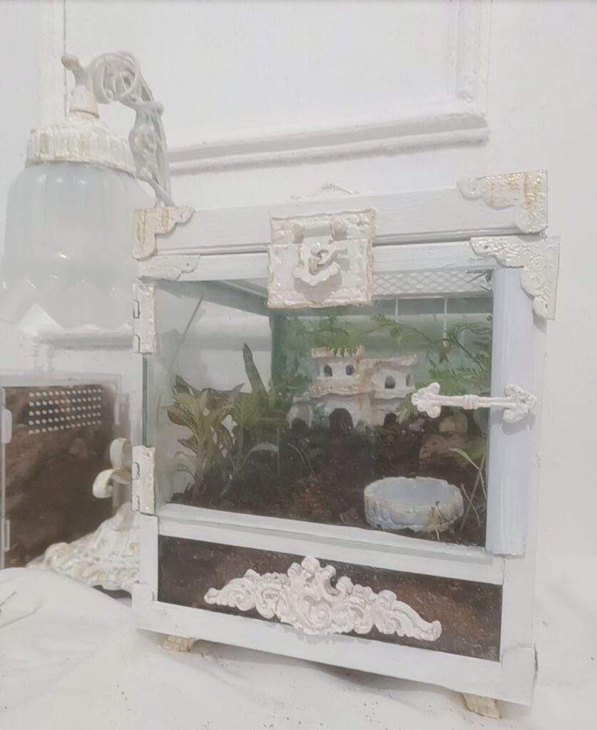 Terrarium with little castle Terrarium with little castle