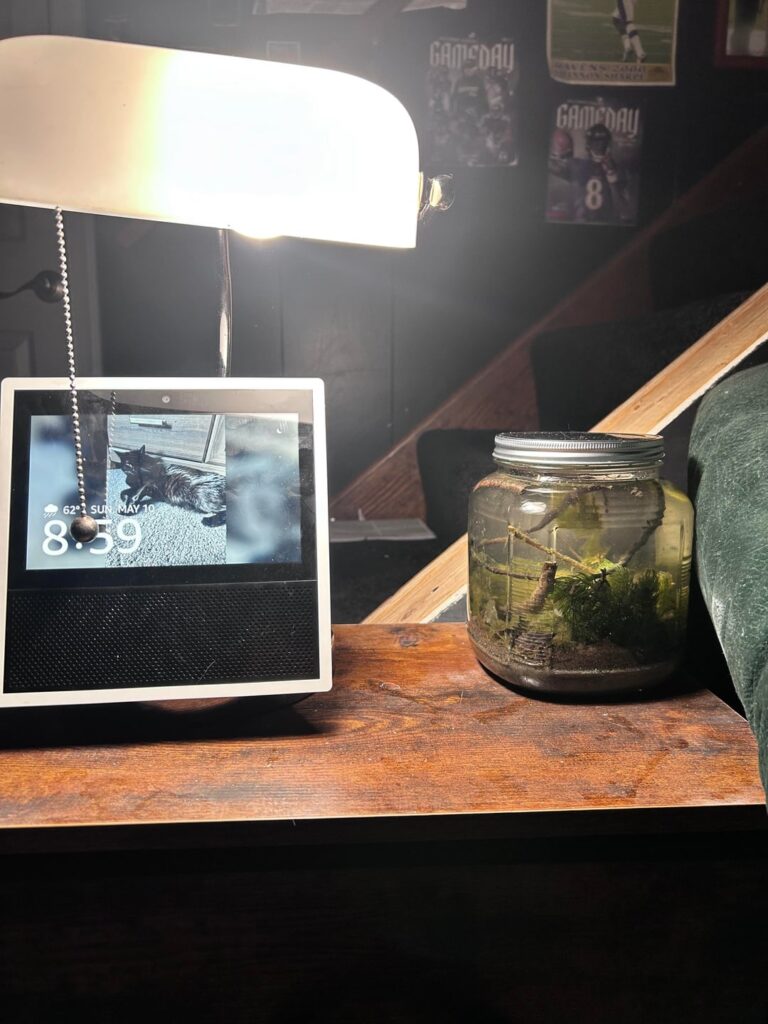 Is this lighting good for ecosystem in a jar from lake