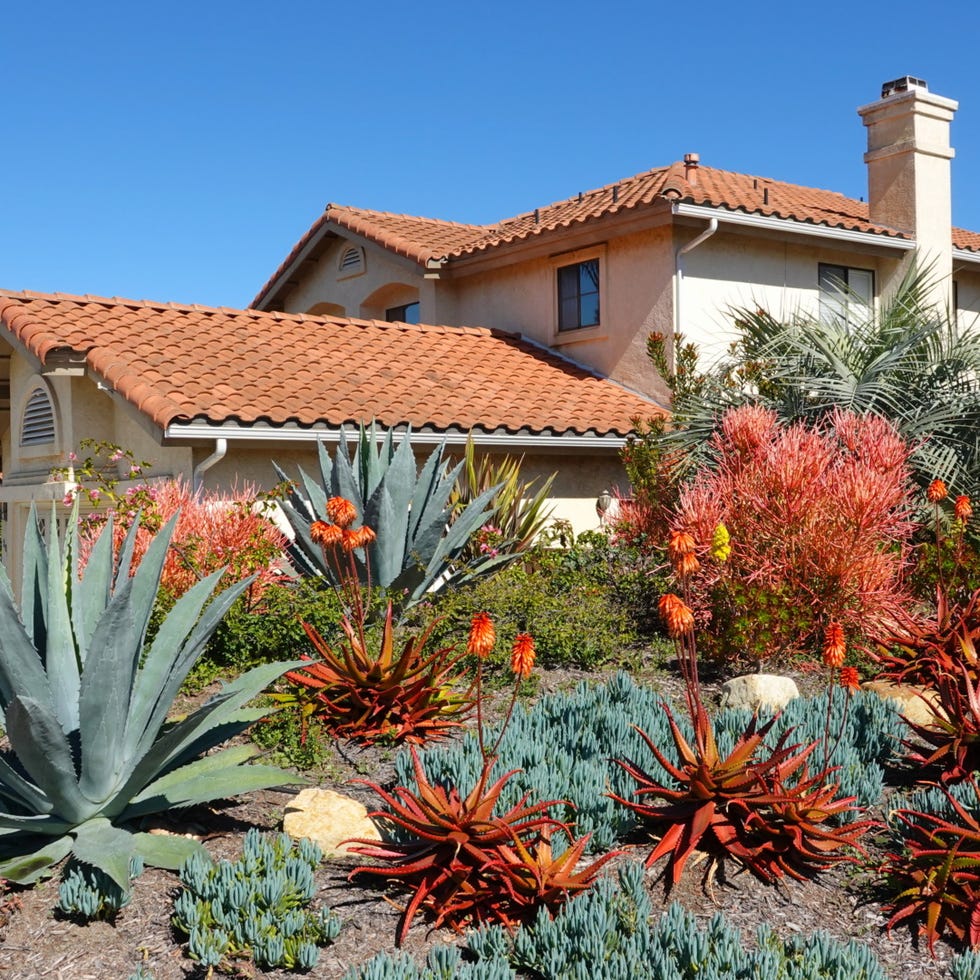 xeriscape landscaping xeriscape landscaping