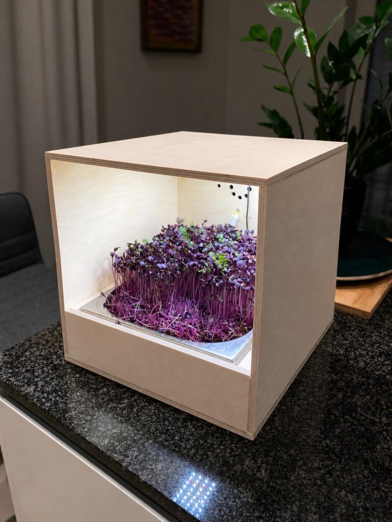 My DIY attempt at a furniture-integrated microgreen setup. Currently struggling with the automated bottom watering and space. My DIY attempt at a furniture-integrated microgreen setup. Currently struggling with the automated bottom watering and space.