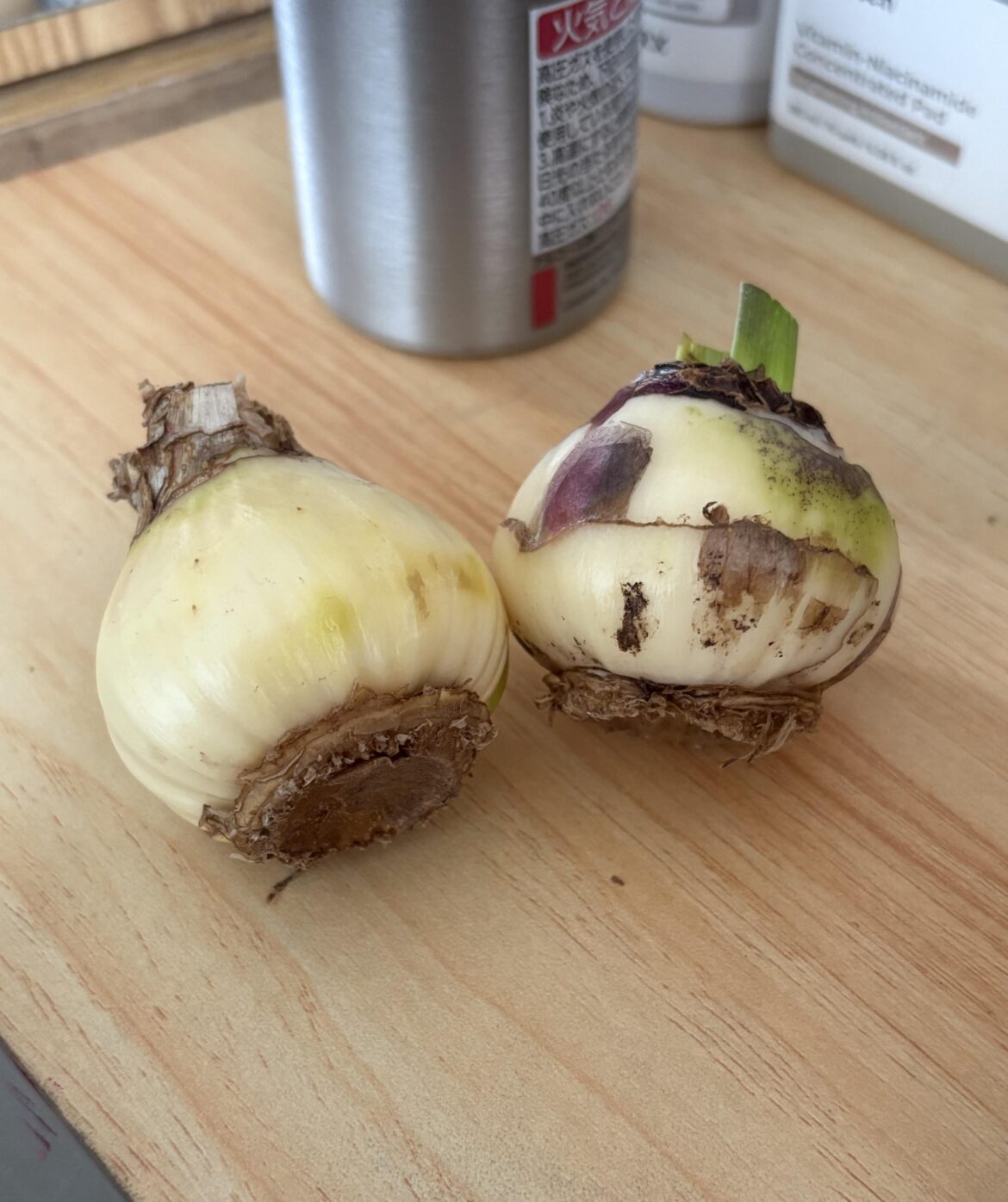 Hyacinth help ( Malaysia )