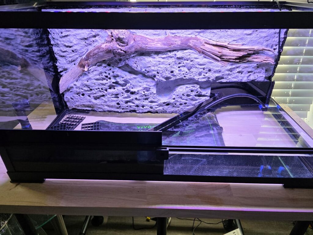 This morning, this afternoon, this evening. Now we wait. First vampire crab paludarium. Doing OK?