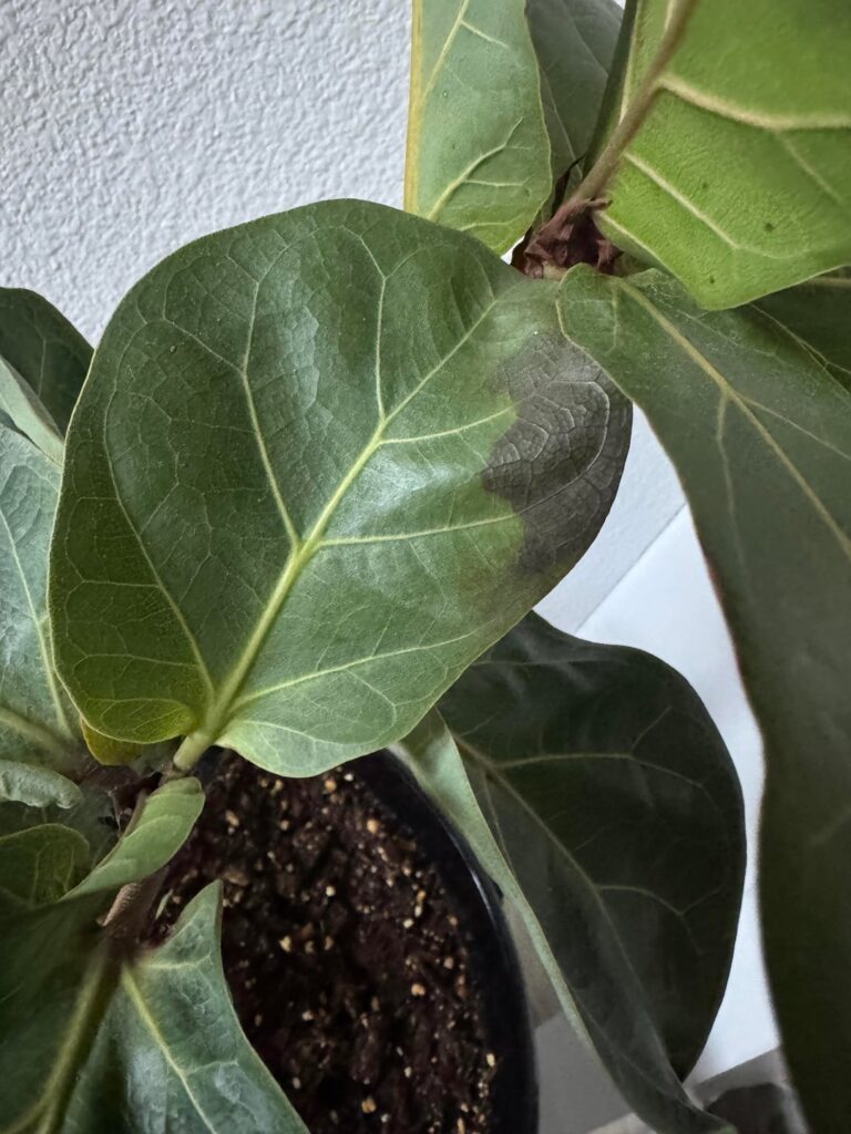 help!