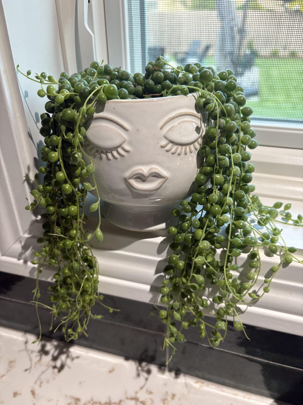 Happy Pearls