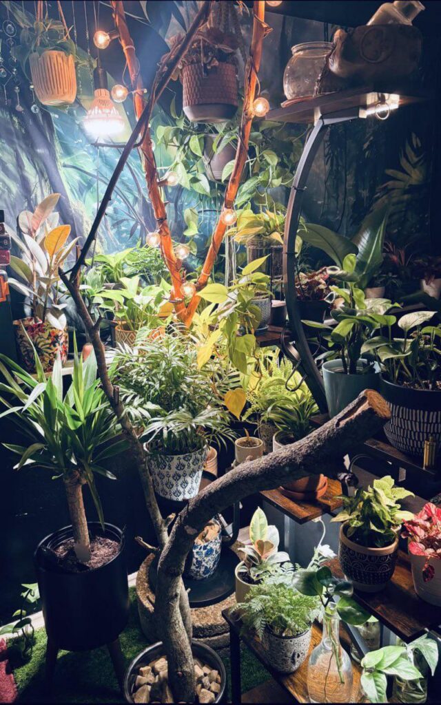 Almost lights out for my mini jungle tonight.