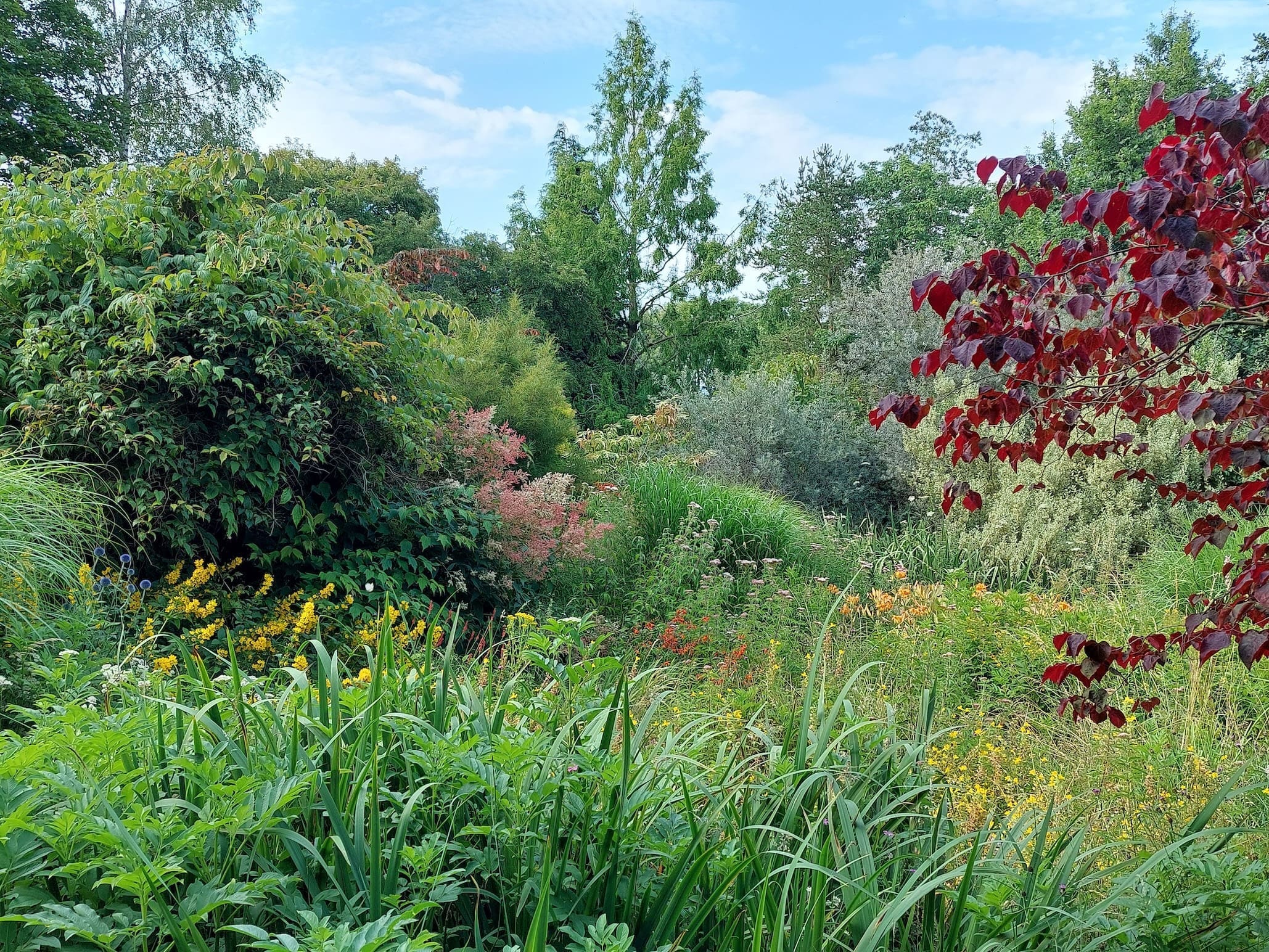 Moors Meadow gardens