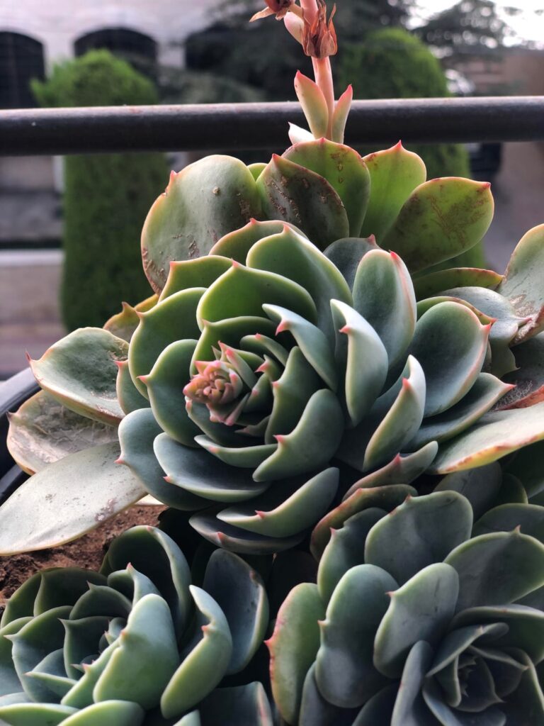 [OC] Who knows the name?