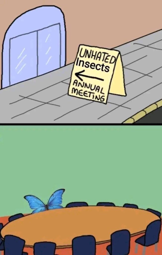 I feel like plant people have more insect friends.