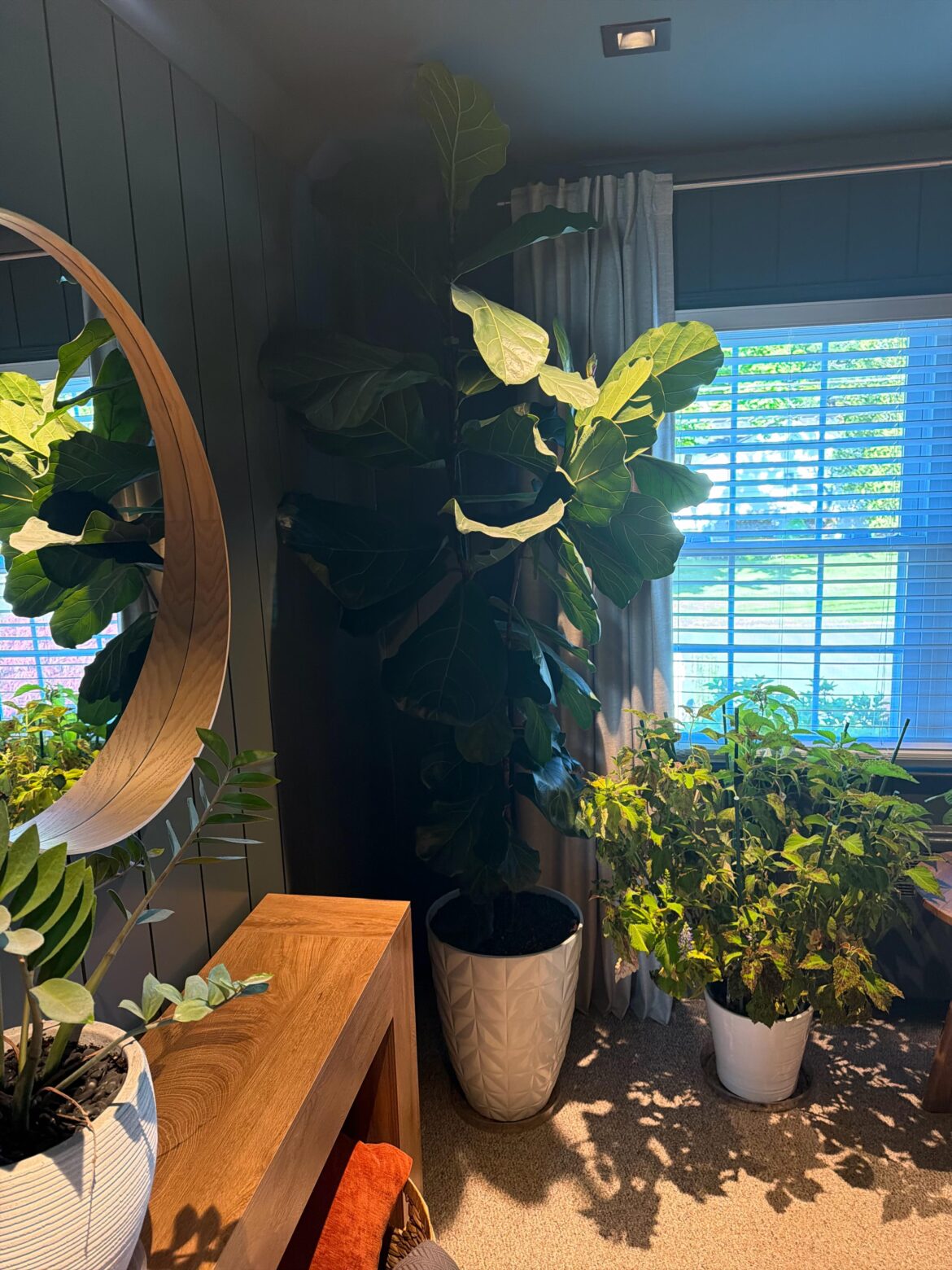 Growing strong!!