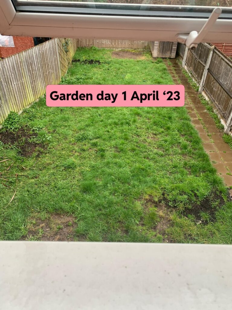 For all those brand new to gardening with limited budgets…