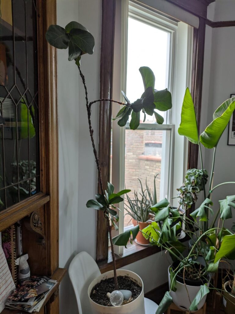What do I do with this?