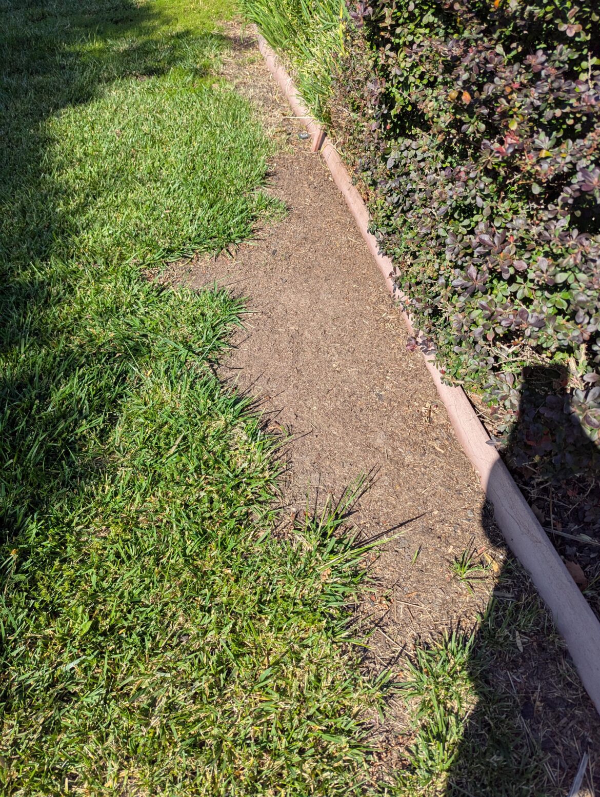 Nothing will grow here Nothing will grow here