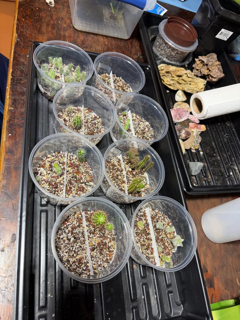 My babies are growing up! My babies are growing up!