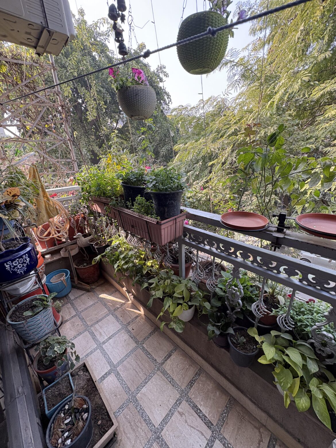 Little Fourth Floor Balcony Garden in Delhi