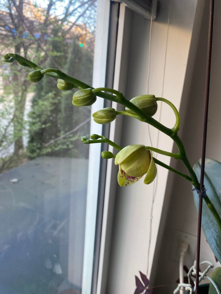 A joyous few weeks