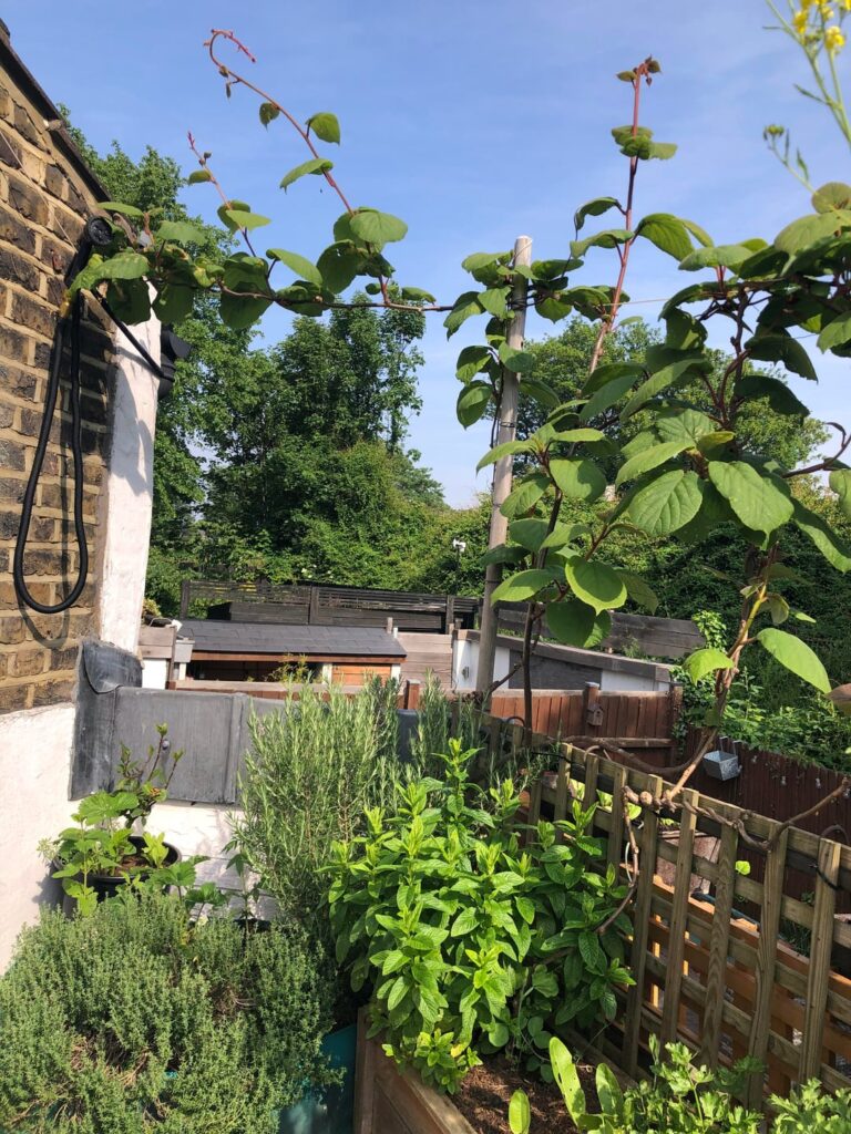 My balcony in SE London
